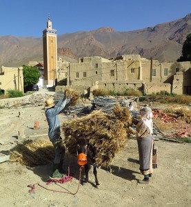 marocco 2025